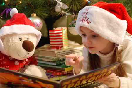 christmas budget