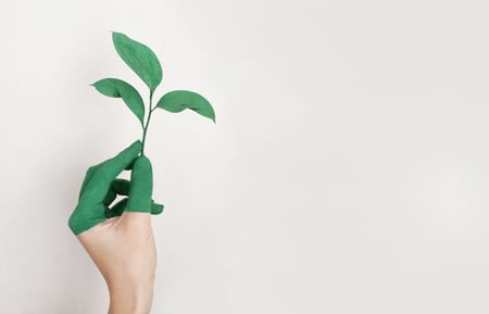 recycle upcycle