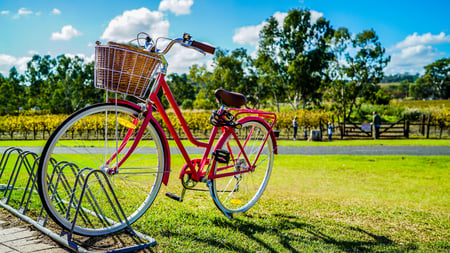 bike bicycle petrol
