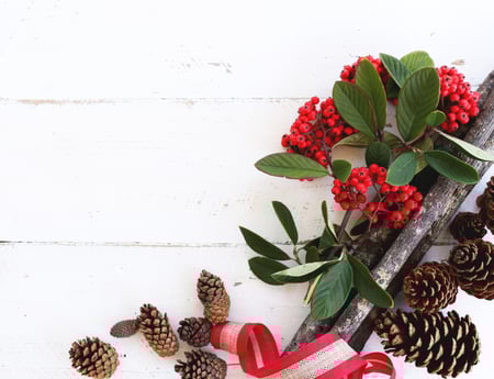 christmas saving