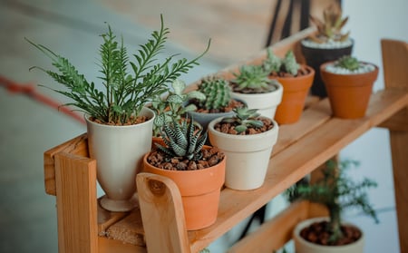 planter pot second hand