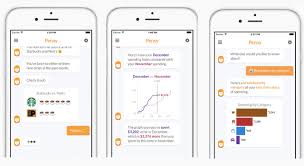 penny expense app